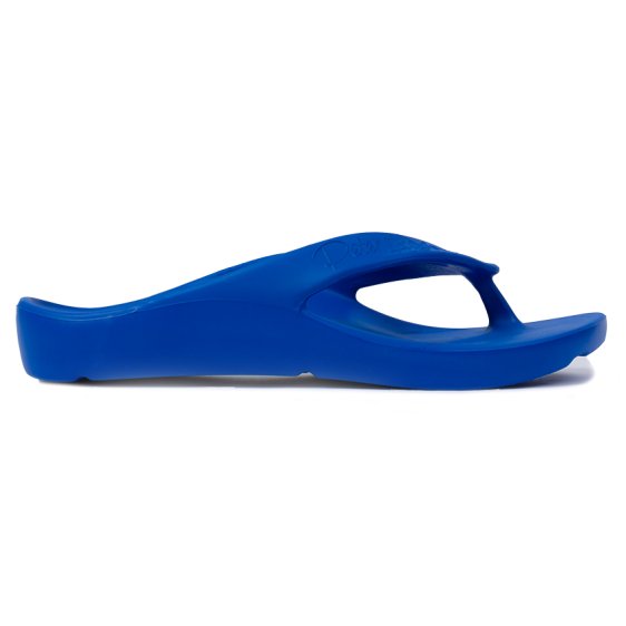 detail SHARK AZZURRO Obuv Pro Evolution