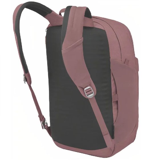 detail ARCANE LARGE DAY purple garnet heather Batoh Osprey